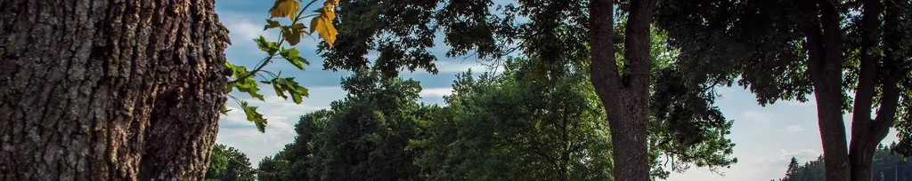 1500x500