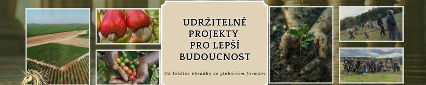 Aspekty projektu