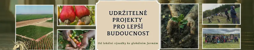 Aspekty projektu