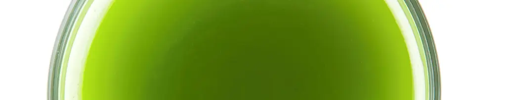 Matcha Tea