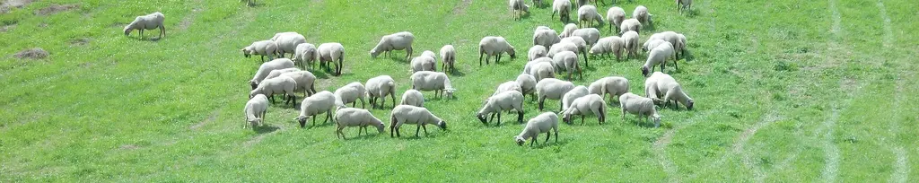 Vinařická hora