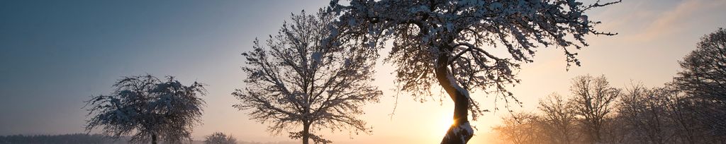 Ilustrační foto - počasí mráz sníh zima ranní slunce ráno silnice 