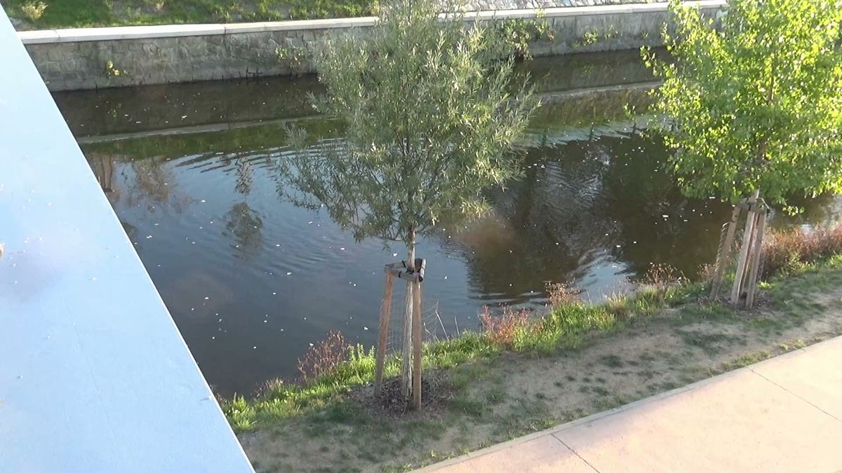 Podel Upravené nábřeží Svratky podél Táborského nábřeží. - Médium.cz