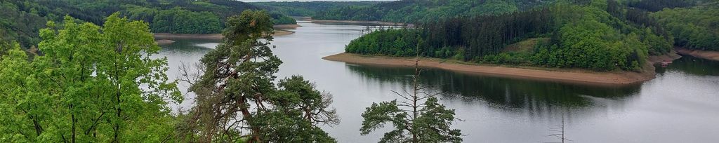 Orlík