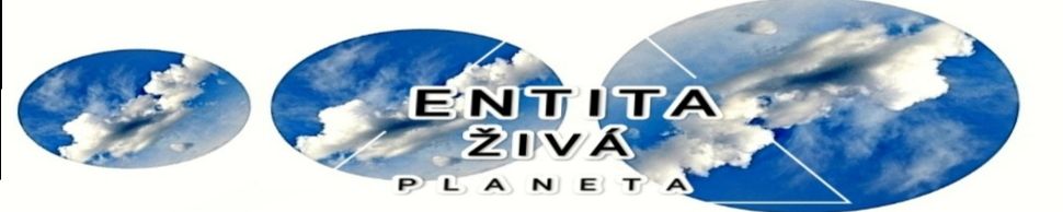 ENTITA 2
