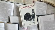 Kniha Gwailou vás provede Hongkongem devadesátých let z pohledu mladé Češky