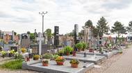 Nejzajímavější české hřbitovy: historie, kuriozity i tajemno