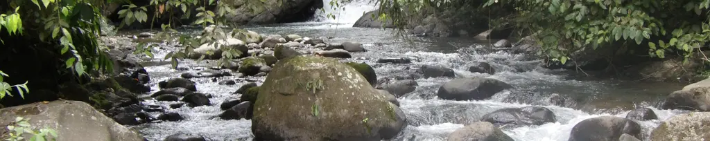 Rio Pejibaye