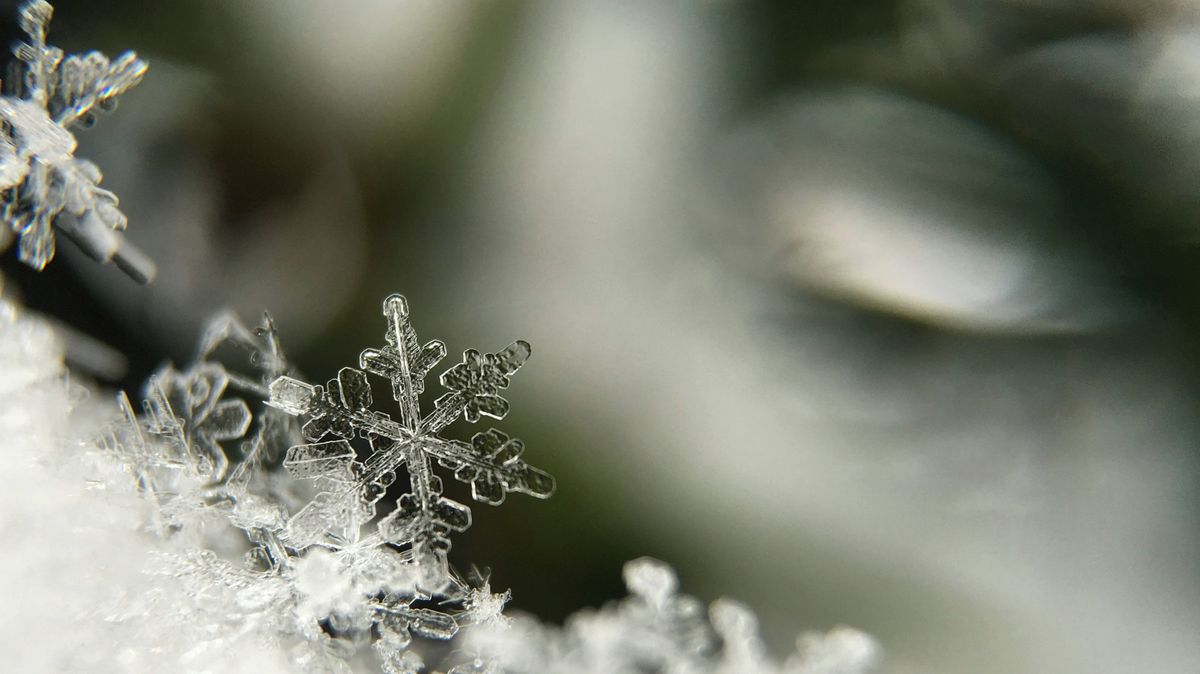 Dosáhly akcie společnosti Snowflake svého dna? - Médium.cz