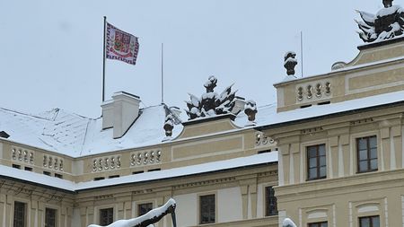 Milena Dvorská („Werichova Maruška“) marně žádala V. Havla o prezidentskou milost pro svou dceru