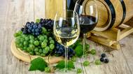 Do ČR se loni dovezly miliony litrů vína za méně než 14 Kč, ale spotřební daň tu nechceme