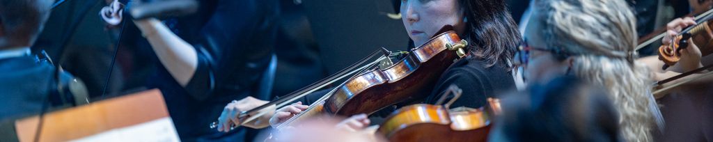 Český Národní Symfonický Orchestr