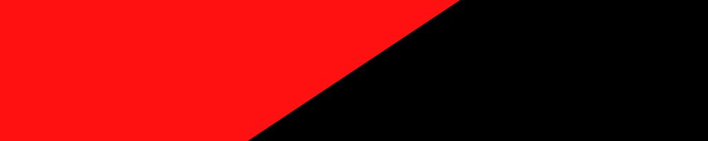 Anarchistická vlajka