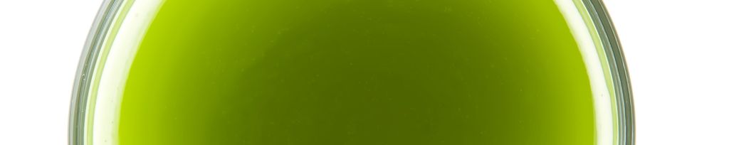 Matcha Tea