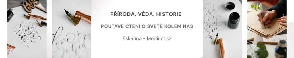 Banner – Eskarína, Seznam Médium