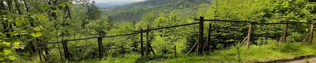 Nad Vernýřovicemi