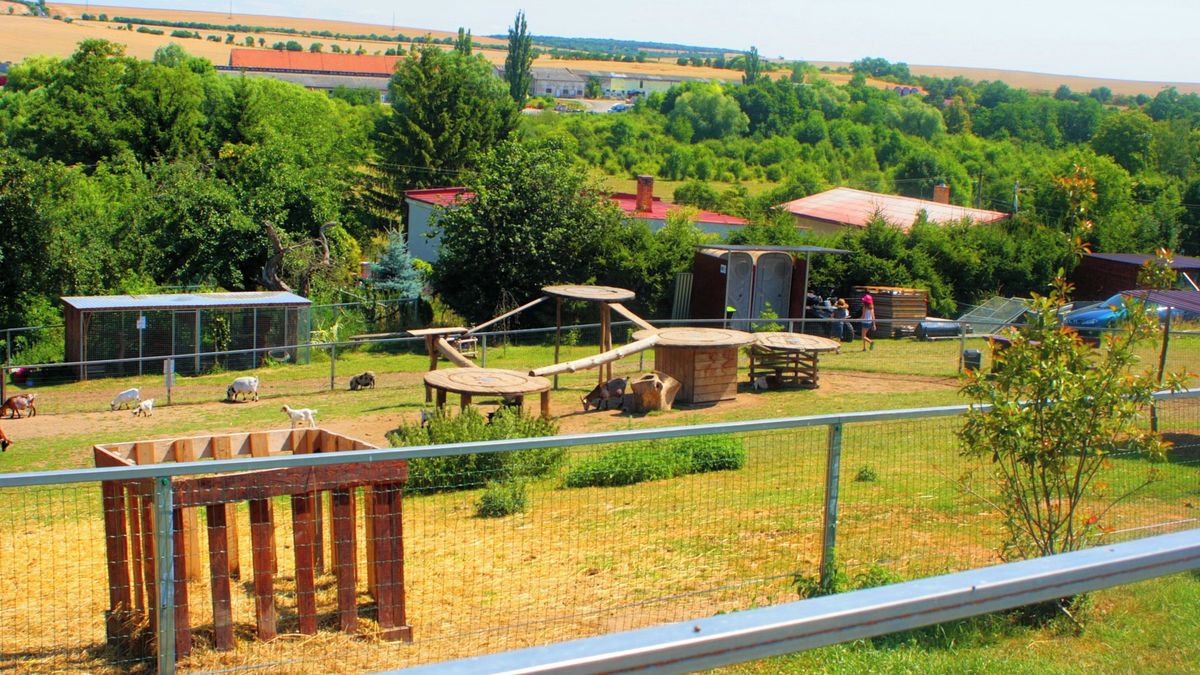 Zoopark Zoopark Olovnice – zvířátka na dosah ruky - Médium.cz