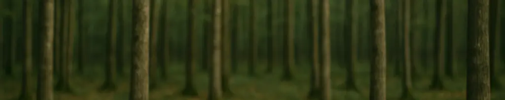 Les