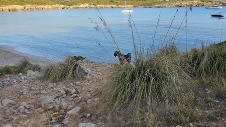 Kozy na pláži, Menorca je nabídne po celý den a je to podívaná pro všechny
