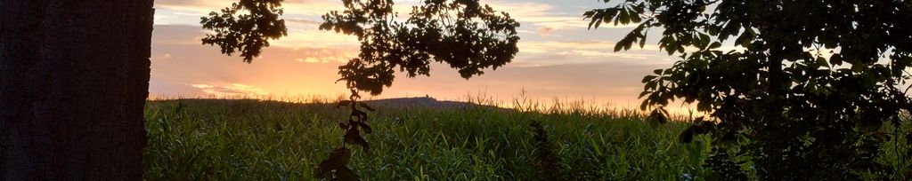 IMG_20250903_193221023_HDR