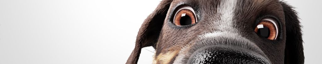 Snímek obrazovky 2026-03-03 v 19.53.05