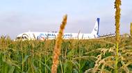 Airbusu A321 po střetu s ptáky vysadily motory a piloti po velkém dramatu přistáli v kukuřici