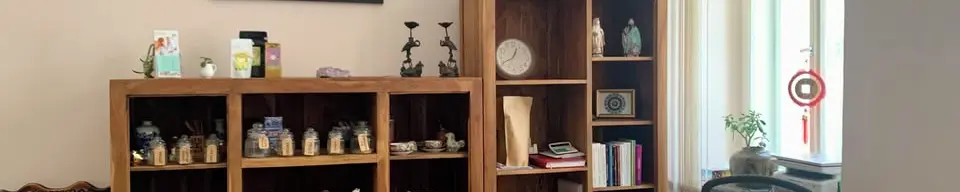 Сentrum Fuzhi 