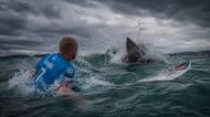 Velký bílý žralok zaútočil během finále závodu. Mick Fanning bojoval o život během přenosu. Úspěšně