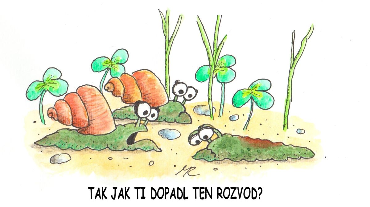 Šnek po rozvodu - Médium.cz