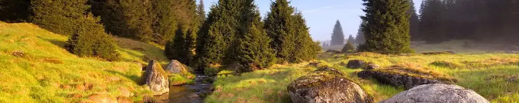 Šumava