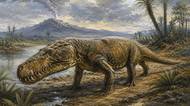 Erythrosuchus: predátor, před nímž prchali velcí býložravci. Metrová lebka se k tělu skoro nehodila