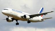 Airbus A320 Air France se 136 lidmi na palubě se při letecké show zřítil do lesa a explodoval