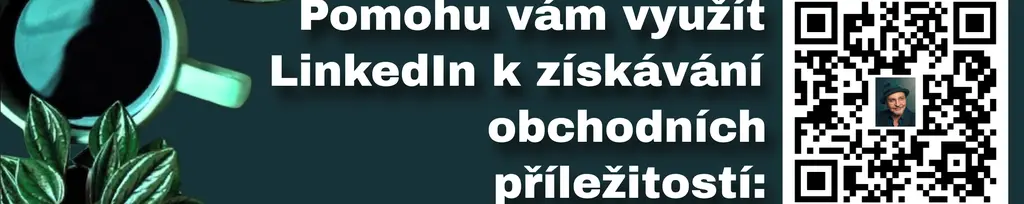 Ziskový LinkedIn
