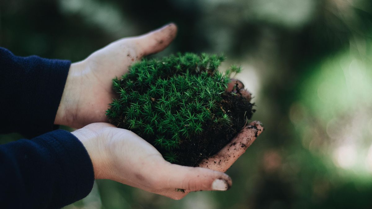 The end of misleading "eco" advertising: The Czech Republic is currently lagging behind new EU rules