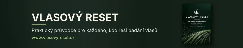 Obálka Vlasový reset