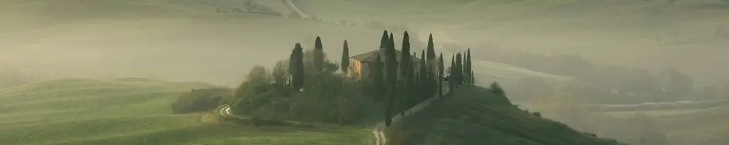 LS